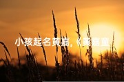 小孩起名黄嘉,《黄嘉童趣：快乐成长的小天使》