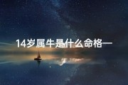 14岁属牛是什么命格—《14岁属牛命格揭秘：命运轨迹大解析》