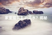 家里猫叫影响风水？揭秘猫咪叫声的风水之谜