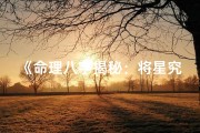 《命理八字揭秘：将星究竟意味着什么？》