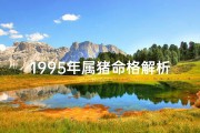 1995年属猪命格解析：最适合你的命格揭晓
