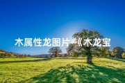 木属性龙图片-《木龙宝宝取名大全：探寻自然之灵》