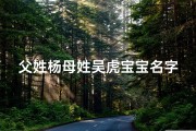 父姓杨母姓吴虎宝宝名字,《杨吴联姻喜添虎宝宝，温馨命名传递美好祝福》