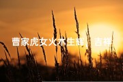 曹家虎女火木生辉，吉祥如意宝宝名
