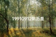 19910912阴历是什么时候-阴历981129命格揭秘：命运转折点大解析