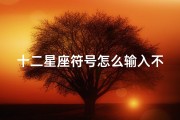 十二星座符号怎么输入不了( 原创 如何在文字中插入十二星座符号我要推荐)