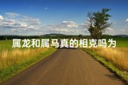 属龙和属马真的相克吗为什么