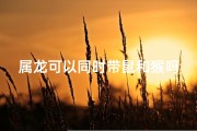 属龙可以同时带鼠和猴吗