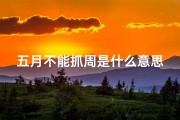 五月不能抓周是什么意思-《五月抓猪吉日查询大全：宜猪旺运好时机》