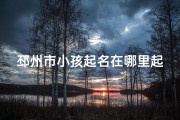 邳州市小孩起名在哪里起—邳州市小孩起名：探寻最佳命名之地