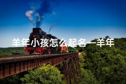 羊年小孩怎么起名—羊年宝宝取名秘籍：吉祥如意的名字精选