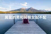 属鼠的男和属猴女配不配