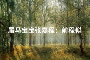 属马宝宝张嘉程：前程似锦，马到成功