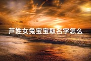芦姓女兔宝宝取名字怎么取—芦姓女孩起名字有寓意