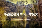小孩起名兔木火—木兔火命什么意思