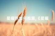 星曜煞如何推算,《星曜吉凶揭秘：案例分析视频教程》