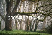 2005年月7日命格—2005年7月5日属什么