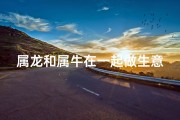 属龙和属牛在一起做生意财运怎么样,属龙属牛能合伙做生意吗？揭秘合作奥秘