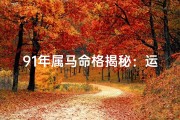 91年属马命格揭秘：运势详解与人生指引