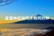 家里种花讲风水吗何时种
