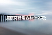 庭院花坛适合种什么花;庭院风水：花坛布局宜忌解析