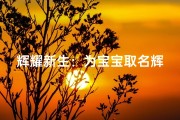 辉耀新生：为宝宝取名辉让光芒双生