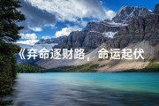 《弃命逐财路，命运起伏录》