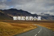 懒得起名的小孩