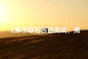 《稣字取名吉凶测试：揭秘名字背后的运势秘密》