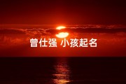 曾仕强 小孩起名