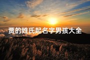 贾的姓氏起名字男孩大全(贾姓好听稀少的男孩名字贾姓男宝宝名字大全属龙)