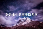 张姓金牛男宝宝取名字