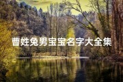 曹姓兔男宝宝名字大全集;《曹姓兔年男宝宝名字精选大全》