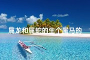 属龙和属蛇的生个属马的好吗、龙蛇生马，奇缘天定
