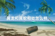 属龙和属蛇相处怎么样,属龙属蛇大战：争吵不休的宿命对决
