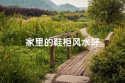 家里的鞋柜风水好