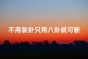 不用装卦只用八卦就可断吉凶-用卦不用卦,用卦还是错