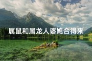 属鼠和属龙人婆媳合得来吗为什么-属鼠与属龙婆媳：和谐共融的秘密