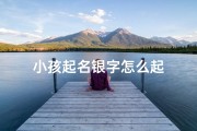小孩起名银字怎么起