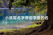 小孩取名字带田字旁的名字