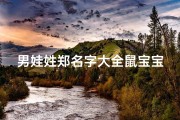 男娃姓郑名字大全鼠宝宝