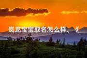 岚龙宝宝取名怎么样、《岚龙宝宝取名：创意无限，萌动人心》