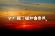 91年属于哪种命格呢_91年的属什么命