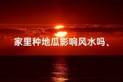 家里种地瓜影响风水吗、种地瓜影响风水？揭秘家居种植之谜
