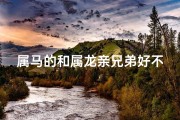 属马的和属龙亲兄弟好不好、属马龙兄情深，兄弟情深共腾飞