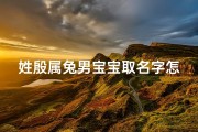 姓殷属兔男宝宝取名字怎么取好听—《殷姓兔年男宝宝名字精选：寓意吉祥，智慧成长》