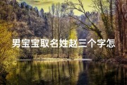 男宝宝取名姓赵三个字怎么取-姓赵的男名字三个字