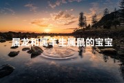 属龙和属羊生属鼠的宝宝、龙羊鼠宝宝：三生肖汇聚的奇妙缘分