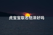 虎宝宝取名恺泽好吗
