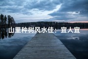 山里种树风水佳：宜人宜居好风水